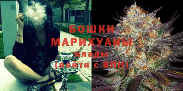 дживик Надым