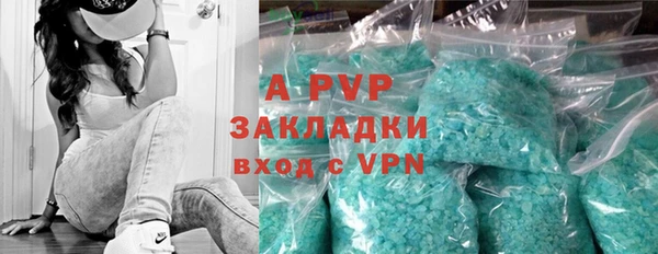 дживик Надым