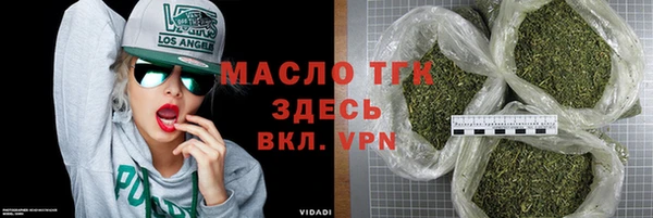 дживик Надым
