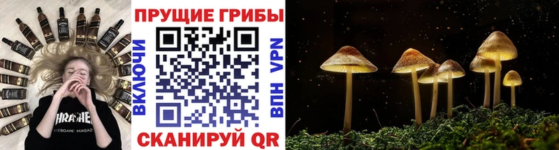 Галлюциногенные грибы Psilocybe  цена наркотик  Ладушкин 